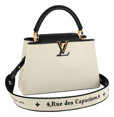 lv capucine|louis vuitton capucines price.